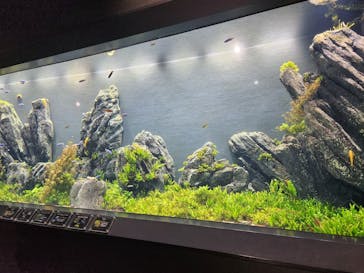 DMMかりゆし水族館に投稿された画像（2025/8/9）