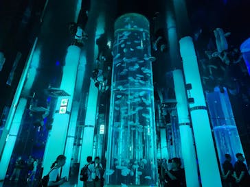 DMMかりゆし水族館に投稿された画像（2025/8/9）