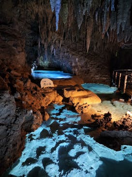 おきなわワールドに投稿された画像（2025/8/9）