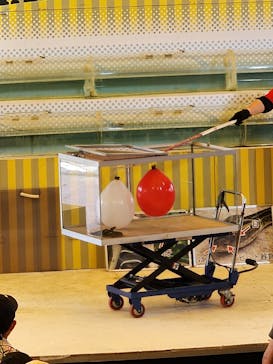 おきなわワールドに投稿された画像（2025/8/9）