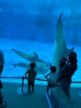 名古屋港水族館に投稿された画像（2025/8/9）