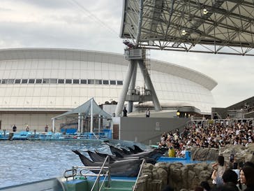 名古屋港水族館に投稿された画像（2025/8/9）