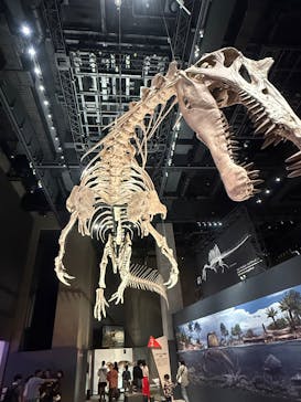 福井県立恐竜博物館に投稿された画像（2025/8/9）