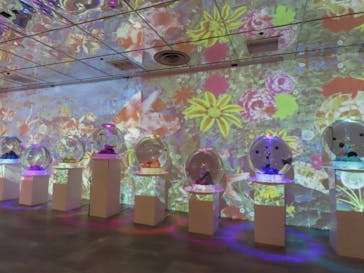 NARA IKIMONO MUSEUMに投稿された画像（2025/8/9）