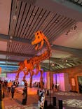 巨大恐竜展2025に投稿された画像（2025/8/9）