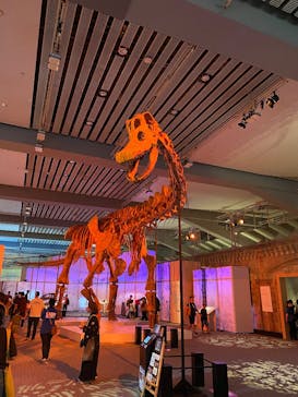 巨大恐竜展2025に投稿された画像（2025/8/9）
