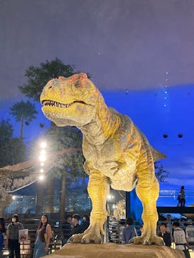 福井県立恐竜博物館に投稿された画像（2025/8/9）