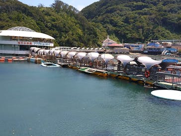 下田海中水族館に投稿された画像（2025/8/9）