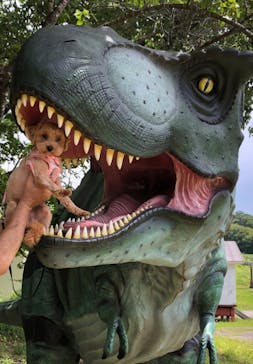 ひるがのピクニックガーデンに投稿された画像（2025/8/9）