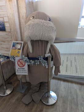 伊豆・三津シーパラダイスに投稿された画像（2025/8/9）