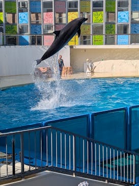 伊豆・三津シーパラダイスに投稿された画像（2025/8/9）