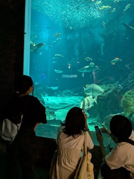 マリンワールド海の中道に投稿された画像（2025/8/9）