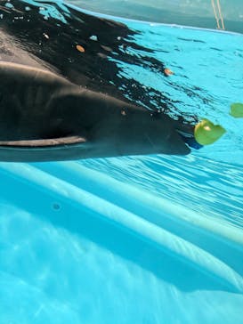 マリンワールド海の中道に投稿された画像（2025/8/9）