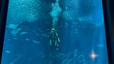 マリンワールド海の中道に投稿された画像（2025/8/9）