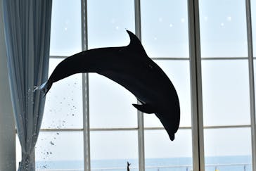 アクアワールド茨城県大洗水族館に投稿された画像（2025/8/9）