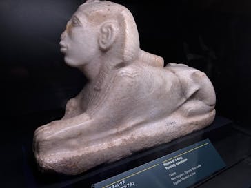 ACN ラムセス大王展 ファラオたちの黄金に投稿された画像（2025/8/9）