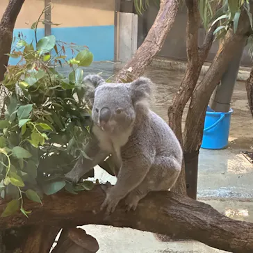 多摩動物公園に投稿された画像（2025/8/9）