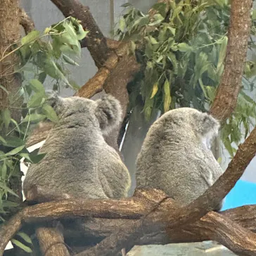 多摩動物公園に投稿された画像（2025/8/9）