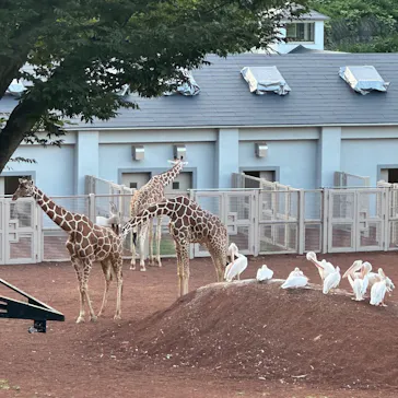 多摩動物公園に投稿された画像（2025/8/9）