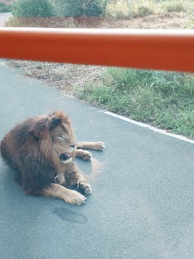 東京動物園協会_多摩動物公園に投稿された画像（2025/8/9）