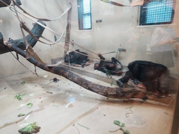 東京動物園協会_多摩動物公園に投稿された画像（2025/8/9）