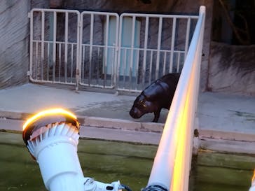 名古屋市東山動植物園に投稿された画像（2025/8/9）