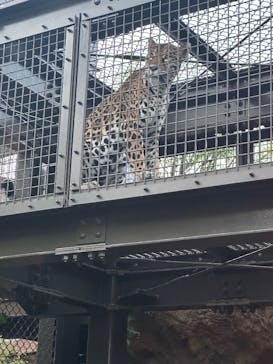 日立市かみね動物園に投稿された画像（2025/8/9）