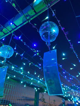 せんだい農業園芸センター　みどりの杜に投稿された画像（2025/8/9）