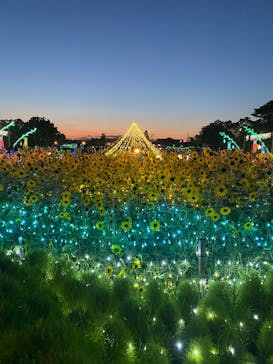 せんだい農業園芸センター　みどりの杜に投稿された画像（2025/8/9）