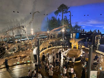 福井県立恐竜博物館に投稿された画像（2025/8/9）