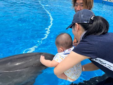 南知多ビーチランド＆南知多おもちゃ王国に投稿された画像（2025/8/9）