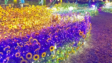 せんだい農業園芸センター　みどりの杜に投稿された画像（2025/8/9）