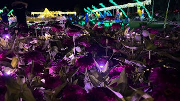 せんだい農業園芸センター　みどりの杜に投稿された画像（2025/8/9）