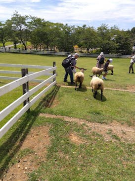 牧歌の里に投稿された画像（2025/8/9）
