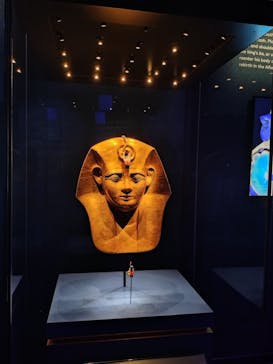 ACN ラムセス大王展 ファラオたちの黄金に投稿された画像（2025/8/9）