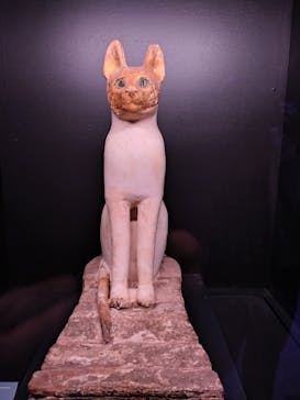 ACN ラムセス大王展 ファラオたちの黄金に投稿された画像（2025/8/9）