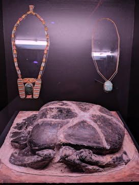 ACN ラムセス大王展 ファラオたちの黄金に投稿された画像（2025/8/9）