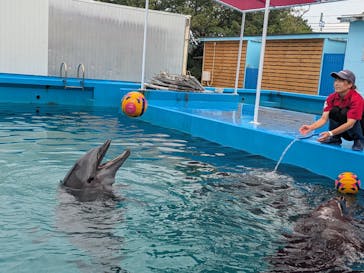 ゼロ距離水族館 伊勢シーパラダイスに投稿された画像（2025/8/9）