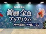 錦鯉・金魚アクアリウム in ときメッセに投稿された画像（2025/8/9）