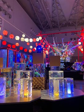 錦鯉・金魚アクアリウム in ときメッセに投稿された画像（2025/8/9）