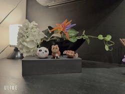 つむぐ工房 嵐山店に投稿された画像（2025/8/9）