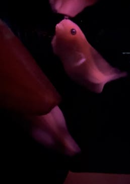 名古屋港水族館に投稿された画像（2025/8/9）