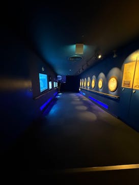 名古屋港水族館に投稿された画像（2025/8/9）