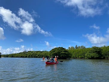 ひかりオーシャンズに投稿された画像（2025/8/9）