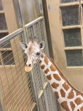 日立市かみね動物園に投稿された画像（2025/8/9）