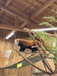 伊豆シャボテン動物公園に投稿された画像（2025/8/9）