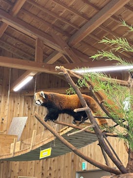 伊豆シャボテン動物公園に投稿された画像（2025/8/9）