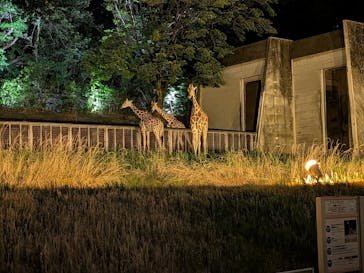 名古屋市東山動植物園に投稿された画像（2025/8/9）