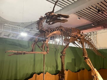巨大恐竜展2025に投稿された画像（2025/8/9）