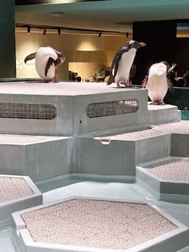 AOAO SAPPOROに投稿された画像（2025/8/9）